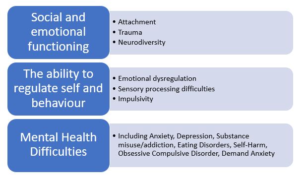 1. Social and emotional functioning including attachment, trauma and neurodiversity2. The ability to regulate self and behaviour including emotional dysregulation, sensory processing difficulties and impulsivity 3. Mental health difficulties including anxiety, depression, substance misuse/addiction, eating disorders, self-harm, obsessive compulsive disorder, and demand avoidance.